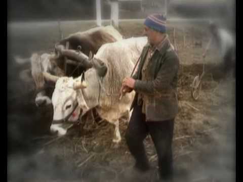 Romania exista Dumnezeu