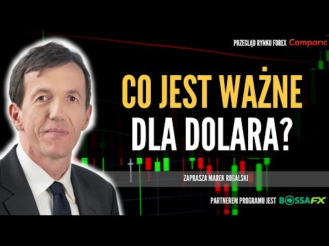 Koniec shutdownu zmieni układ sił na rynkach? | Świat walut Marka Rogalskiego 12.11.2025