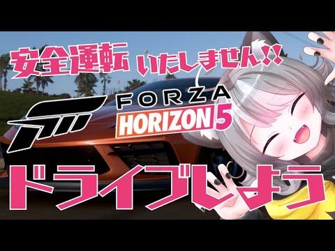 【Forza Horizon 5】参加型 メキシコを駆け抜けろ!悲鳴が鳴り響くドライブ配信【VTuber 晩景緋音】43