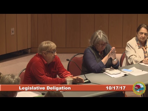 Legislative Delegation Subcommittee 10.17.17