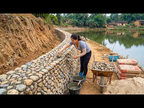 Build A Stone Fence Around A 200m² Fish Pond To Prevent Soil Erosion, Harvest Fish After Many Years