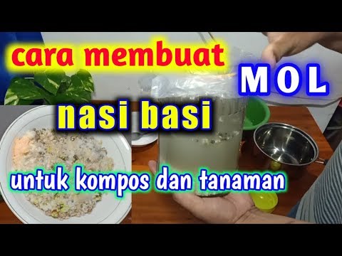How to Make MOL from Stale Rice || For Compost and Plants