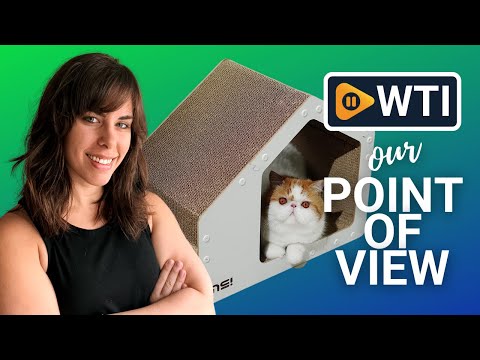 Cardboard Cat Scratchers - WTI product video review