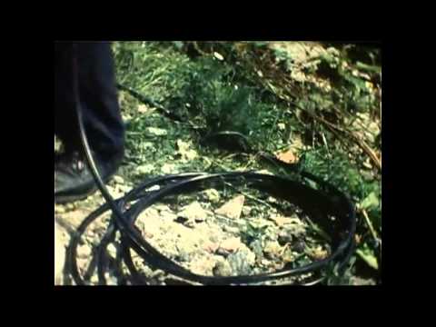 BauSHOP - Dokument z roku 1987 - JRD Branisko Široké 2