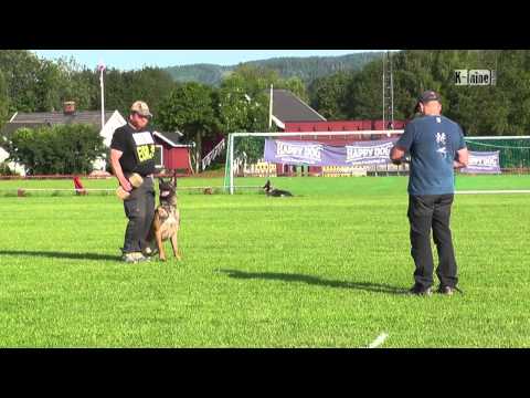 Crutt av Staalhjerte - B @ Norwegian Masters 2013