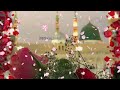 1 Zilhij Whatsapp Status 2022 Aqd Mola Ali O Bibi Zehra Manqabat Mir Hasan Mir Shorts
