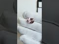 Morganite, taglio ovale, 12.17 ct Video 2