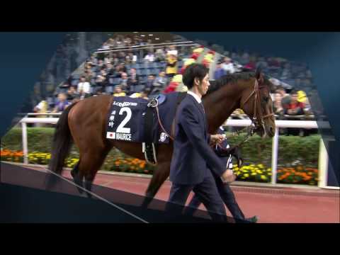 [HKIR 2016] LONGINES Hong Kong Cup Highlight