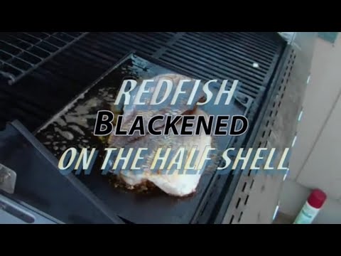 Blackened Redfish Recipe on the Half Shell