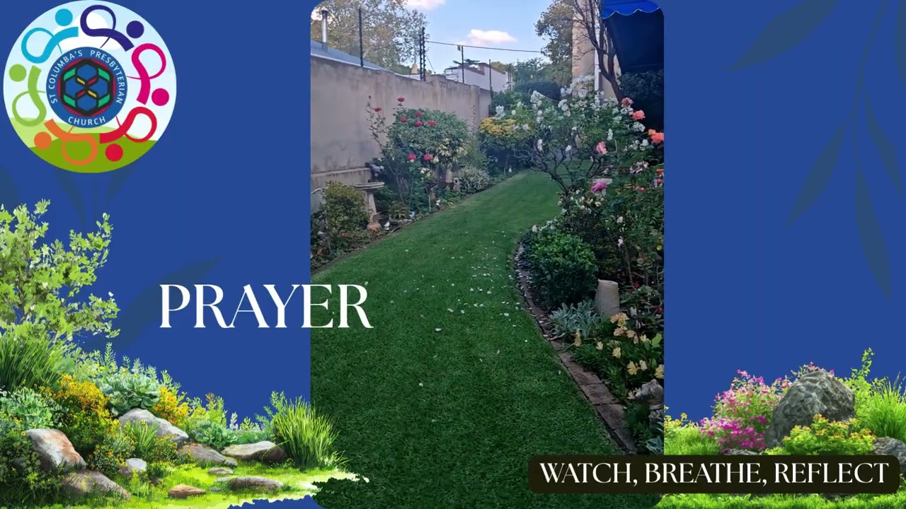 Care &  Contemplation Week 5 Reflection