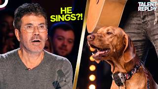 This Dog Started Singing... And Nobody Could Believe It | Britain's Got Talent