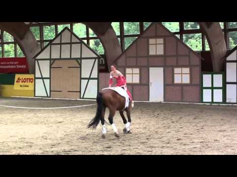 CVI Krumke 2011 - Ines Jückstock Kür