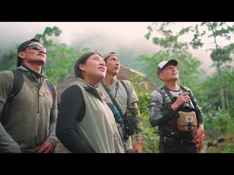 CONTEO AVES ARCHIDONA - ALLYTV NAPO