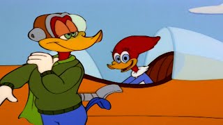 Winnie Se Torna Uma Piloto de Avião! ✈️ | Pica-Pau em Português