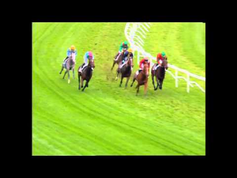 Thewayyouare race " Critérium International " Gr 1 Saint-Cloud - 01/11/2007