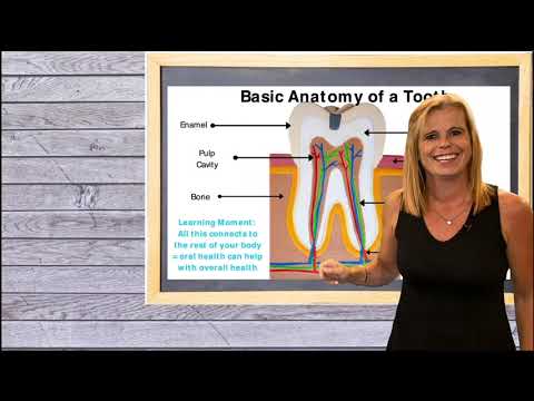 Basic Dental Terminology: How to explain dentistry to a patient