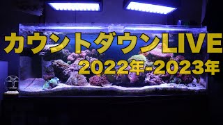 【カウントダウンLive】カウントダウン＆貯金箱開封〈最大Amazonギフト券1万円企画〉～にいにの海物語ｃｈ～