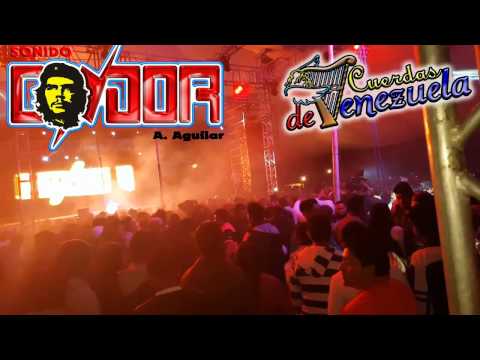 Cumbia Sobre El Mar | Cuerdas de Venezuela X Sonido Condor (En Vivo Santiago Xalitzintla)