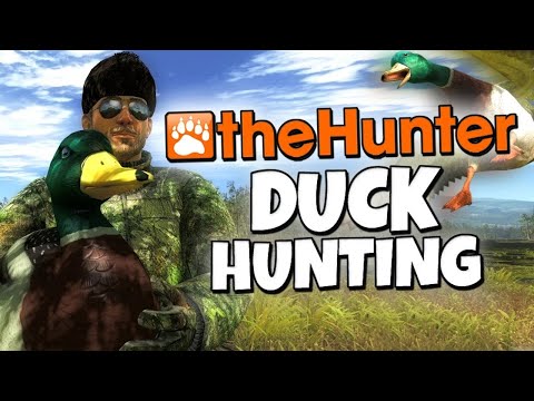 theHunter Classic