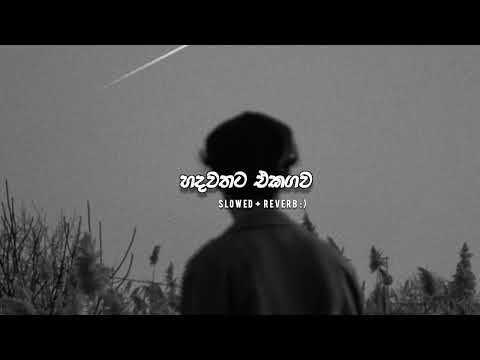 හදවතට එකඟව | Hadawathata ekagawa { slowed + reverb + rain 🌧️🥀🖇️🍷 }