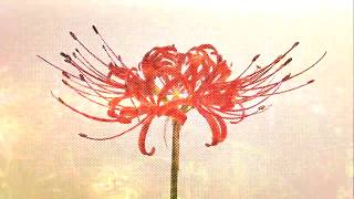 Cover art for Kaleidoscope