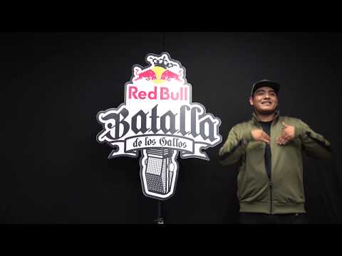 Aczino, Jota,  PepeGrillo y Yenky One | Mi rey - Gallos sin fronteras