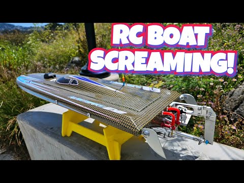 Oxidean Marine Dominator SCREAMING!