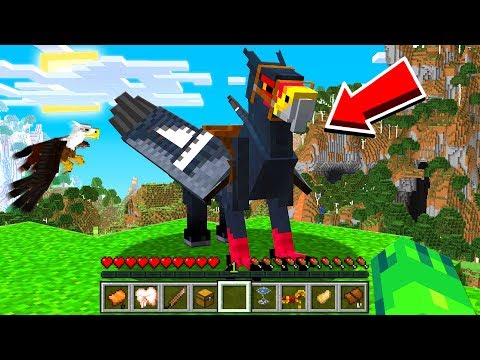 TAMING a FLYING Minecraft HIPPOGRYPH Pet!
