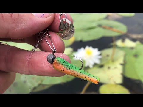 16 minutes of (almost) unedited fishing on a calm morning in a pristine secret lake
