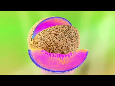 NVDES - The Other Side (AUDIO)