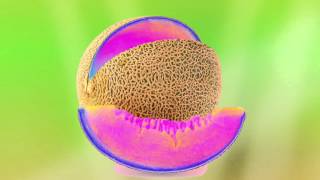 NVDES - The Other Side (AUDIO)