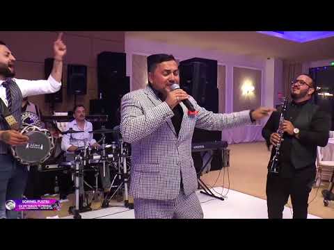 Sorinel Pustiu - Ca un tablou te privesc New Live 2017