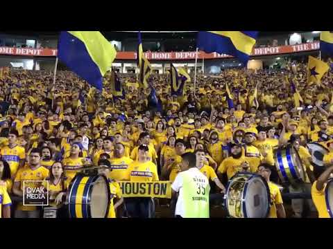 Fuimos Campeones Primero Libres y Lokos