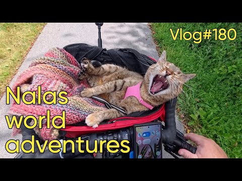 Vlog#180 Nala cat visits Monschau 😻