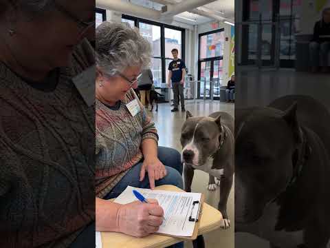 Destiny Is Calling - Rescue Shelter