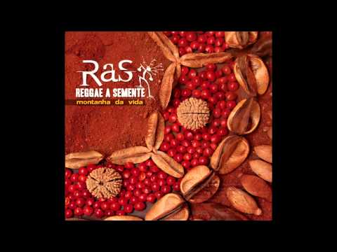 Reggae a Semente - PRIMEIROS PASSOS (SEMPRE) - 2012