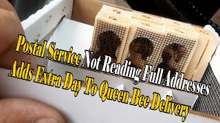 Postal Service Not Reading Full Addresses Adds Extra Day To Queen Bee Delivery