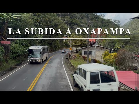 Curvas Peligrosas en el camino a Oxapampa, Pasco 🇵🇪 |  #travel 