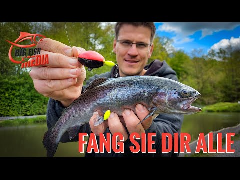 Erfolgreich angeln auf Forelle - SO machst Du im Sommer den Forellensee leer!