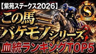 🎯【紫苑ステークス2026】血統背景｜ドリームコア、ジッピーチューン、リアライズルミナスの血統では中山2000mの心臓破りの坂をこなせる血統なの？真実の馬は何と11番人気？