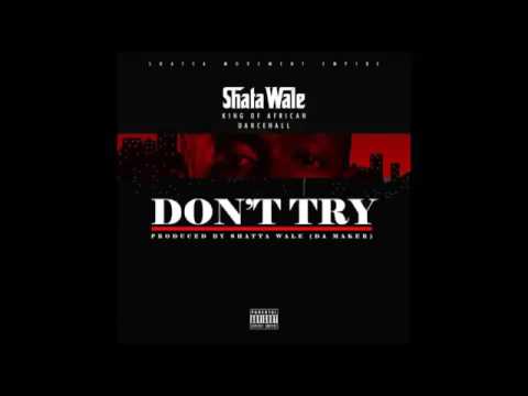 Shatta Wale - Don't Try [Criss Waddle Diss] (Audio Slide)