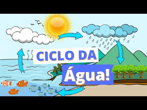 O Ciclo da Água - O que é o ciclo da Água - Educação infantil
