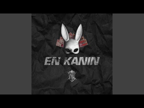 En Kanin (Radio Edit)