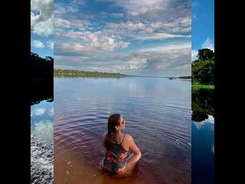Parque Nacional Anavilhanas Novo Airão/Amazonas💚  #anavilhanas #amazonforest @amazonexperiencetour