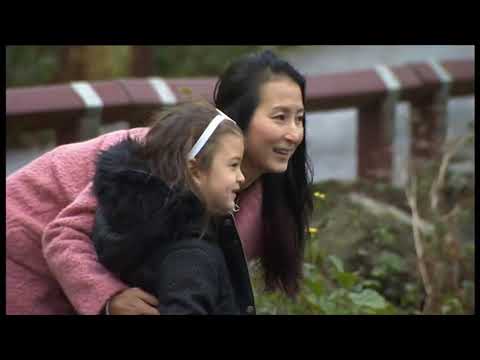 Leaseholders Facing Bankruptcy - End Our Cladding Scandal - BBC News - 11/11/2020