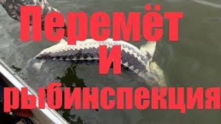Разрешена ли ловля на перемет