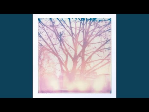 PhotographicMemory (feat. Bones)