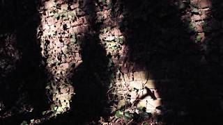 Music video thumbnail preview for Jaded Heart - Schizophrenic - Videoclip by Jaded Heart