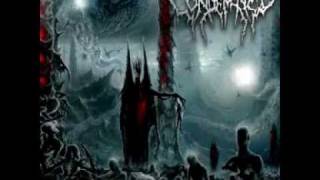 condemned - Baptismal Incineration Upon Simonists