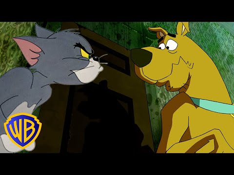CATS VS DOGS! 🐱🐶 | Classic Cartoon Compilation | @wbkids
